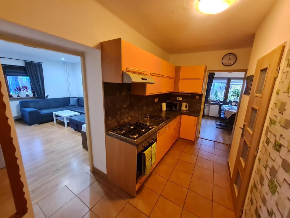 Malebny Rodinny Dum V Prirode, Sauna, Bbq Trinec Εξωτερικό φωτογραφία